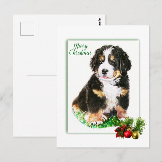 Bernese Mountain Dog Postkarte (Vorne/Hinten)