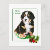 Bernese Mountain Dog Postkarte (Vorderseite)