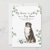 Bernese Mountain Dog Pregnancy Announcement Ankündigung (Vorderseite)