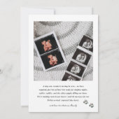 Bernese Mountain Dog Pregnancy Announcement Ankündigung (Rückseite)