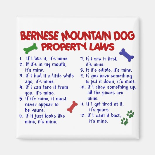 BERNESE MOUNTAIN DOG Property Laws 2 Magnet (Vorne)