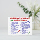 BERNESE MOUNTAIN DOG Property Laws 2 Postkarte (Stehend Vorderseite)