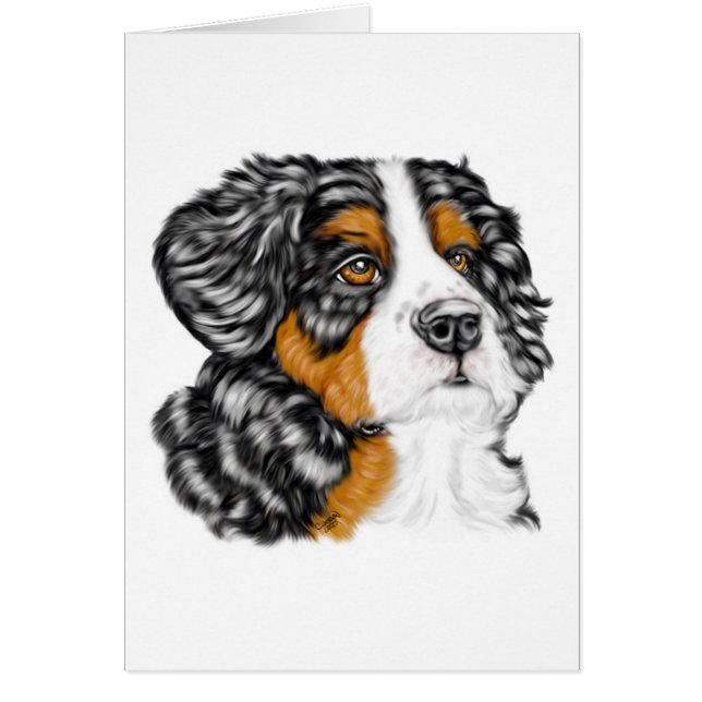 Bernese Mountain Dog Pup (Vorne)