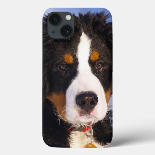 Bernese Mountain Dog Pup iPad Fall Case-Mate iPhone Hülle (Rückseite)