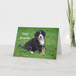 Bernese Mountain Dog Puppy Foto Beileid Karte