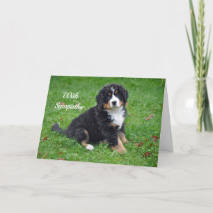 Bernese Mountain Dog Puppy Foto Beileid Karte