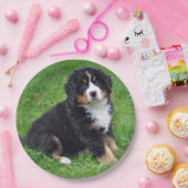 Bernese Mountain Dog Puppy Foto Pappteller (Party)