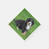 Bernese Mountain Dog Puppy Foto Serviette (Ecke)