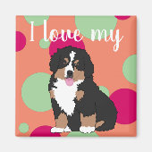Bernese Mountain Dog Puppy Magnet (Vorne)