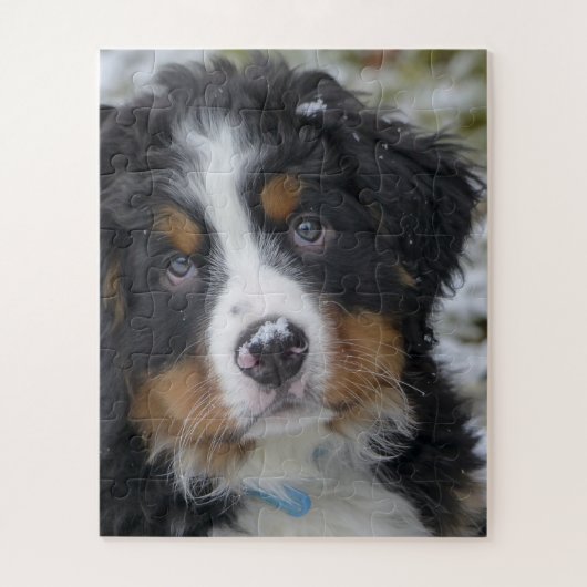 Bernese Mountain Dog Puppy Second Puzzle (Vertikal)