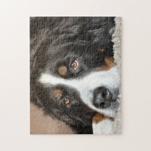 Bernese Mountain Dog Puzzle (Vertikal)