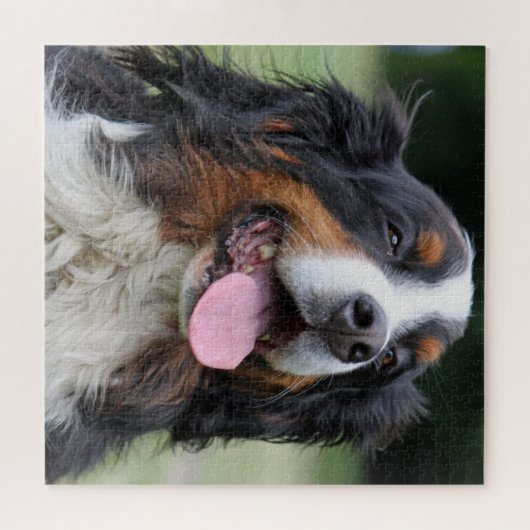 Bernese Mountain Dog Puzzle (Horizontal)