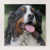 Bernese Mountain Dog Puzzle (Vertikal)