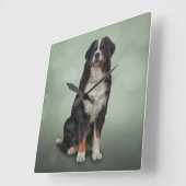 Bernese Mountain Dog Quadratische Wanduhr (Winkel)