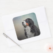 Bernese Mountain Dog Quadratischer Aufkleber (Umschlag)