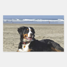 Bernese Mountain Dog Rechteckiger Aufkleber