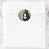 Bernese Mountain Dog Runder Aufkleber (Tasche)
