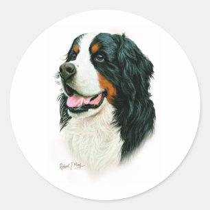 Bernese Mountain Dog Runder Aufkleber