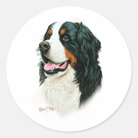 Bernese Mountain Dog Runder Aufkleber (Vorderseite)