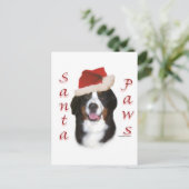 Bernese Mountain Dog Santa Paws Feiertagspostkarte (Stehend Vorderseite)