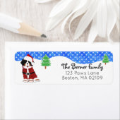 Bernese Mountain Dog Santa Paws Holiday (Insitu)