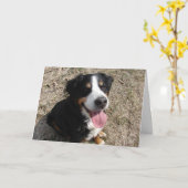 Bernese Mountain Dog Smile Karte (Gelbe Blume)