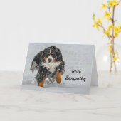 Bernese Mountain Dog Snow Foto Beileid Karte (Gelbe Blume)