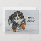 Bernese Mountain Dog Snow Foto Geburtstag Einladung (Vorderseite)