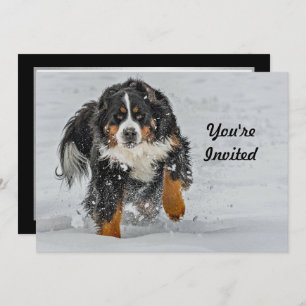 Bernese Mountain Dog Snow Foto Geburtstag Einladung