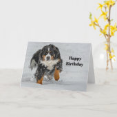 Bernese Mountain Dog Snow Foto Geburtstag Karte (Gelbe Blume)