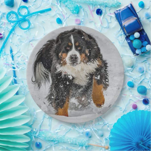 Bernese Mountain Dog Snow Foto Pappteller (Party)