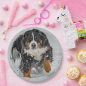 Bernese Mountain Dog Snow Foto Pappteller (Party)