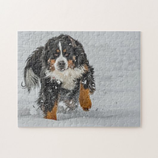 Bernese Mountain Dog Snow Foto Puzzle (Horizontal)