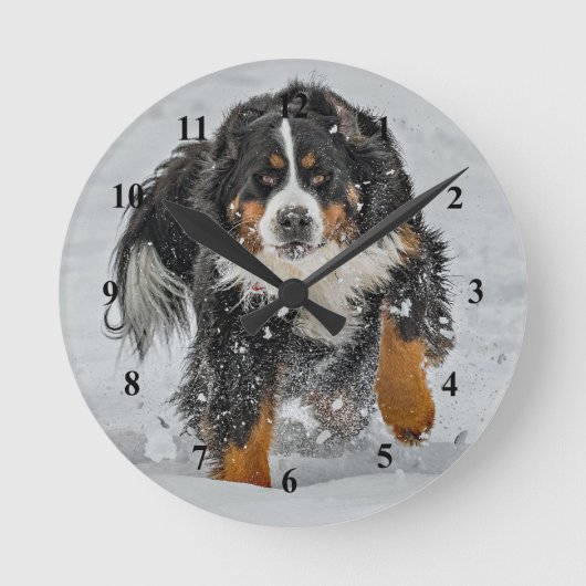 Bernese Mountain Dog Snow Foto Runde Wanduhr (Vorderseite)