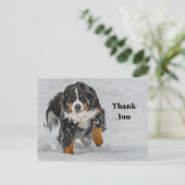 Bernese Mountain Dog Snow Foto Vielen Dank Postkarte (Stehend Vorderseite)