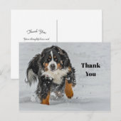 Bernese Mountain Dog Snow Foto Vielen Dank Postkarte (Vorne/Hinten)