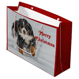 Bernese Mountain Dog Snow Foto Weihnachten Große Geschenktüte