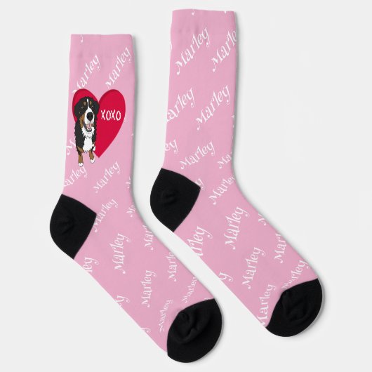 Bernese Mountain Dog Socken (Rechts)