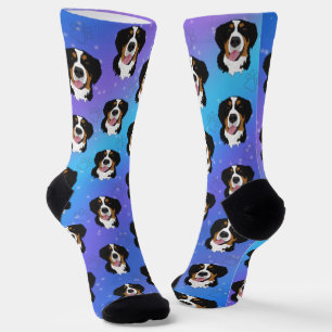 Bernese Mountain Dog Socken