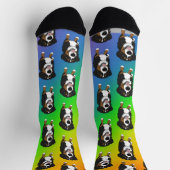 Bernese Mountain Dog Socken (Oben)