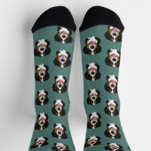 Bernese Mountain Dog Socken (Oben)