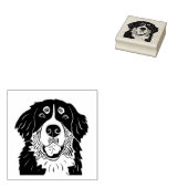 Bernese mountain dog stamp gummistempel (Stempel)