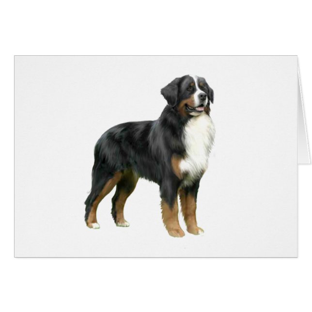 Bernese Mountain Dog - stehend (Vorderseite (Horizontal))