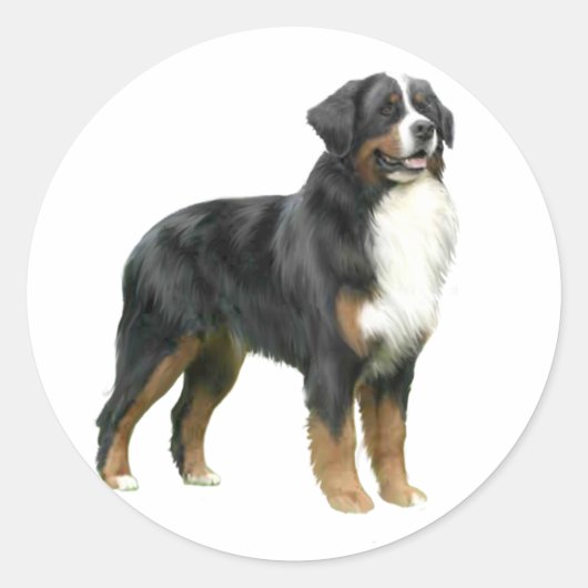 Bernese Mountain Dog - stehend Runder Aufkleber (Vorderseite)
