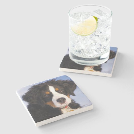 Bernese Mountain Dog Steinuntersetzer (Seitenansicht)