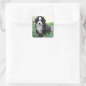 Bernese Mountain Dog Sticker (Tasche)
