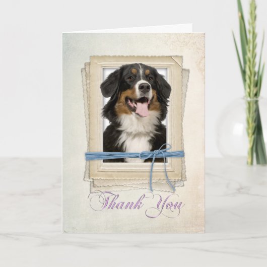 Bernese Mountain Dog Thank You Card Dankeskarte (Vorderseite)