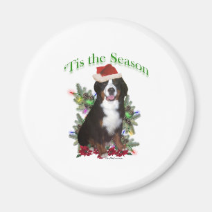 Bernese Mountain Dog "Tis Magnet