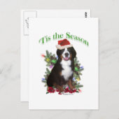 Bernese Mountain Dog "Tis Postkarte (Vorne/Hinten)