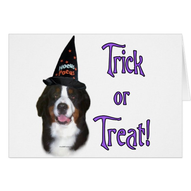 Bernese Mountain Dog Trick (Vorderseite (Horizontal))